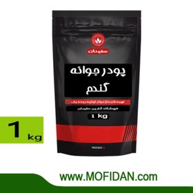 تصویر پودر جوانه گندم 1 کیلویی - خرید مستقیم از تولید کننده 
