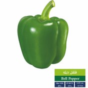 تصویر بذر فلفل دلمه سبز 