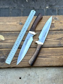 تصویر شکاری بزرگ T173 