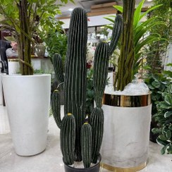 تصویر درختچه کاکتوس مصنوعی 