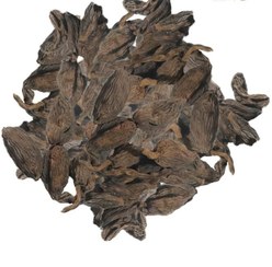 تصویر هل باد 