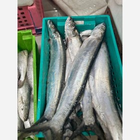 تصویر ماهی خارو 