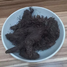 تصویر سنبل الطیب 