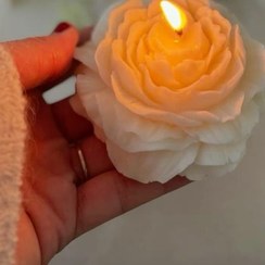 تصویر گل آلاله کوچک 