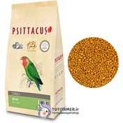 تصویر پلت مینور سیتاکوس اسپانیا - Psittacus Minor 