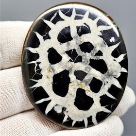 تصویر نگین کلکسیونی سنگ طبیعی سپتارین معدنی کد S3460 