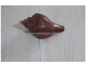 تصویر صدف کد 2333 