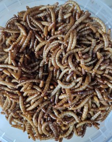 تصویر غذای خشک پرندگان میلورم مدل Milverm125 وزن 125گرم 