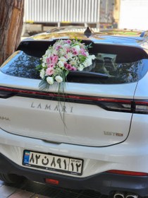 تصویر ماشین عروس کد 56 