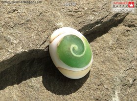 تصویر نگین صدف زیبا کد 64749 