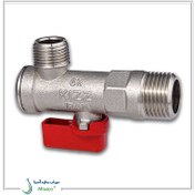 تصویر شیر پیسوار کیز ایران 