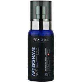 تصویر اسپری نرم کننده پس از اصلاح آقایان حجم 150 میلی لیتر سی گل Seagull Aftershave Softening Spray for Men 150ml