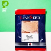 تصویر بذر خربزه راک 