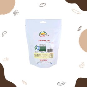 تصویر پودر جوانه گندم 200 گرمی 