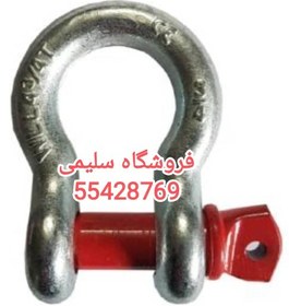 تصویر شگل ۵ تن 