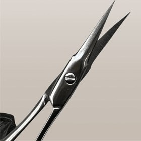 تصویر قیچی Solingen مدل Professional براق 