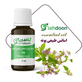 تصویر اسنشیال اویل پونه 