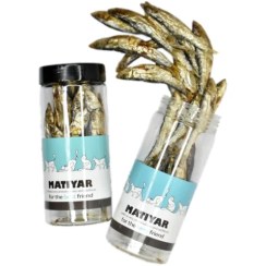 تصویر ماهی کلیکا ماتیار 