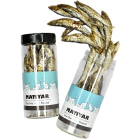 تصویر ماهی کلیکا ماتیار 