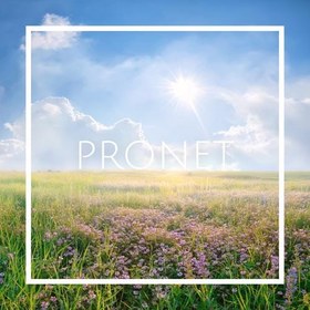 تصویر اسانس Pronet 