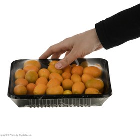 تصویر کامکوات – 250 گرم 