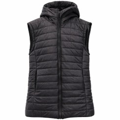 تصویر پافر مشکی 