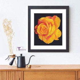 تصویر تابلو نقاشی با خودکار مدل Rose Flower کد PN9 