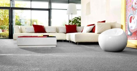 تصویر موکت پالاز آلبوم کات بی مینیمال PALAZ