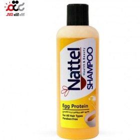 تصویر شامپو تخم مرغی ناتل Egg Shampoo