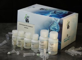 تصویر کیت استخراج DNA خون 