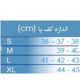 تصویر پد خار پاشنه چیپسو مدل IN009بسته 2 عددی 