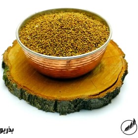 تصویر بذر یونجه 