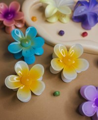 تصویر گیره مو ترند پلومریا 