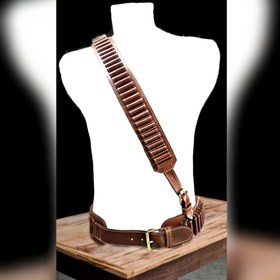 تصویر قطار برنو 