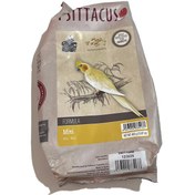 تصویر پلت مینی سیتاکوس 