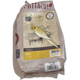 تصویر پلت مینی سیتاکوس 