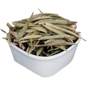 تصویر برگ زیتون 