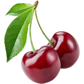 تصویر آلبالو گیلاسی 