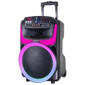 تصویر اسپیکر بلوتوثی چمدانی دیاموند DM-B1201 Diamond DM-B1201 suitcase Bluetooth speaker