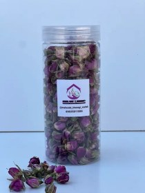 تصویر غنچه گل محمدی 