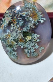 تصویر نگین مدالی شجر هفت رنگ Negin medali