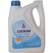 تصویر ضدیخ خودرو لوکینی وزن 4 کیلوگرم 