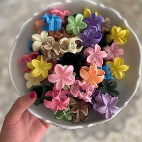 تصویر پلومریا شمعی ۴ سانتی 