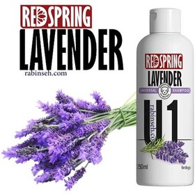 تصویر شامپو روزانه سگ رد اسپرینگ رایحه لاوندر 250 میل + 50 میل رایگان Red Spring Lavender Dog Daily Shampoo 250ml