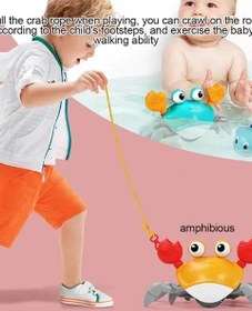 تصویر خرچنگ دوزیست - آبی 