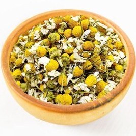 تصویر بابونه گل درشت 