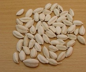 تصویر هل سفید (بسته 100گرمی) 