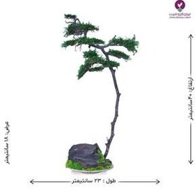 تصویر بونسای بانجین 