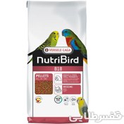 تصویر پلت B18 ورسلاگا 