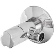 تصویر شیر پیسوار قهرمان مدل کاستا 